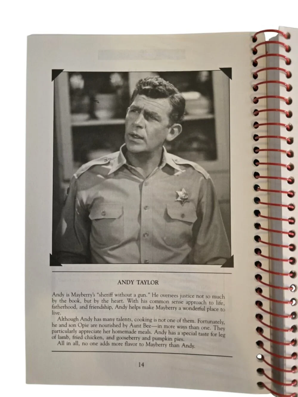 Aunt Bee's Mayberry Cookbook Andy Griffith Show Spiral Bound Southern Recipes